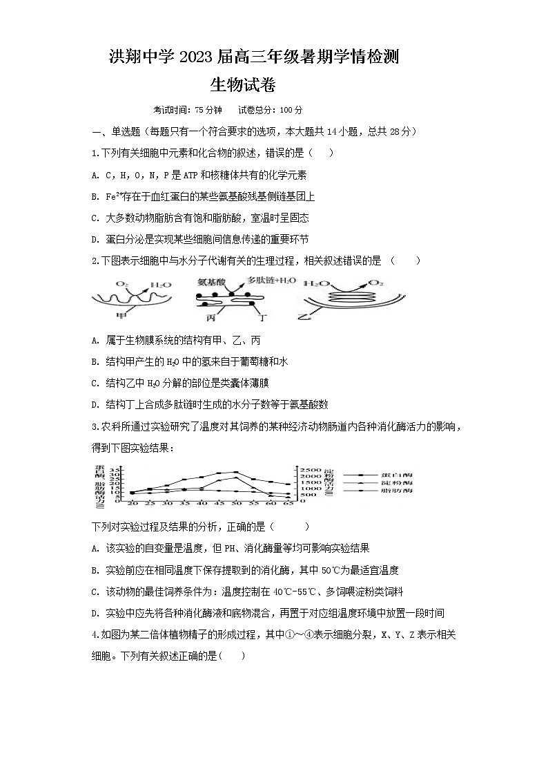 江苏省泗洪县洪翔中学2022-2023学年高三上学期暑期学情检测生物试卷（Word版含答案）第1页