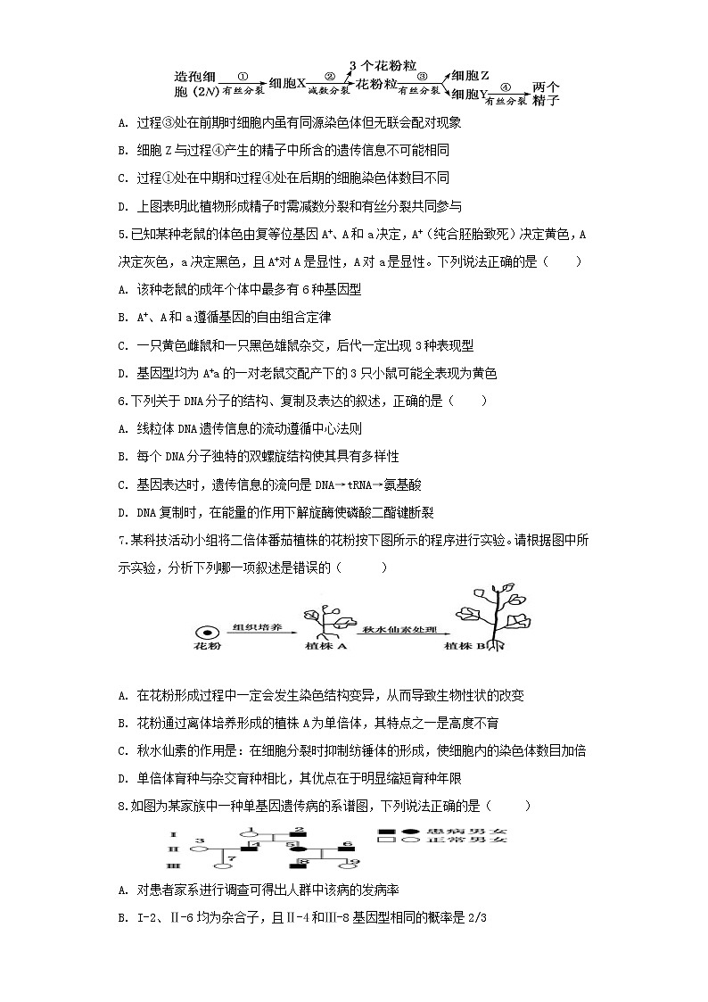 江苏省泗洪县洪翔中学2022-2023学年高三上学期暑期学情检测生物试卷（Word版含答案）第2页