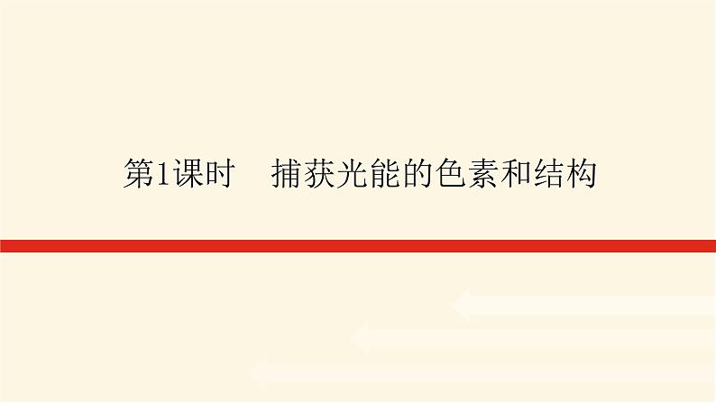 人教版高中生物学必修一第5章细胞的能量供应和利用导学案+课件01