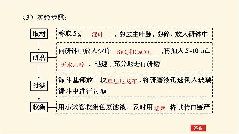 人教版高中生物学必修一第5章细胞的能量供应和利用导学案+课件05