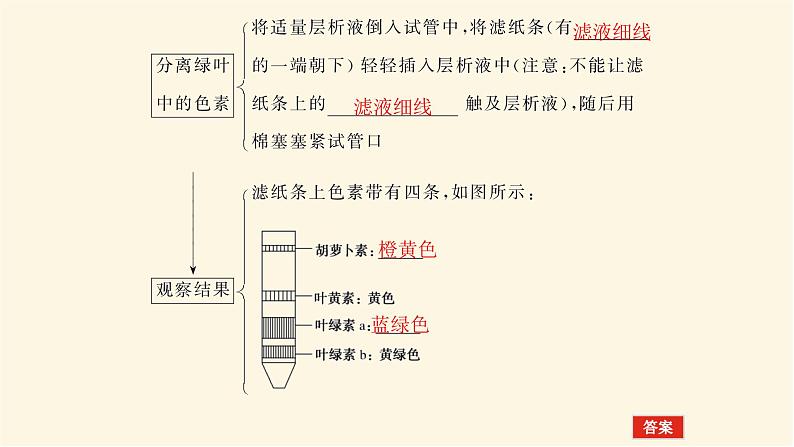 人教版高中生物学必修一第5章细胞的能量供应和利用导学案+课件08