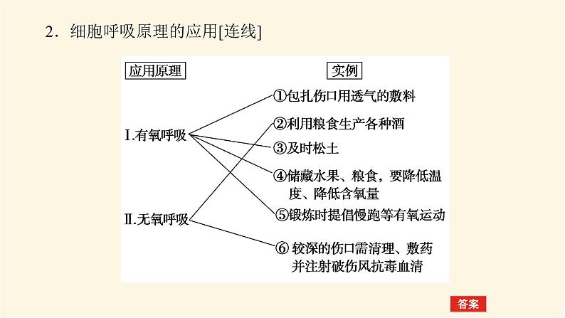 人教版高中生物学必修一第5章细胞的能量供应和利用导学案+课件07