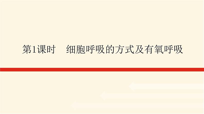 人教版高中生物学必修一第5章细胞的能量供应和利用导学案+课件01