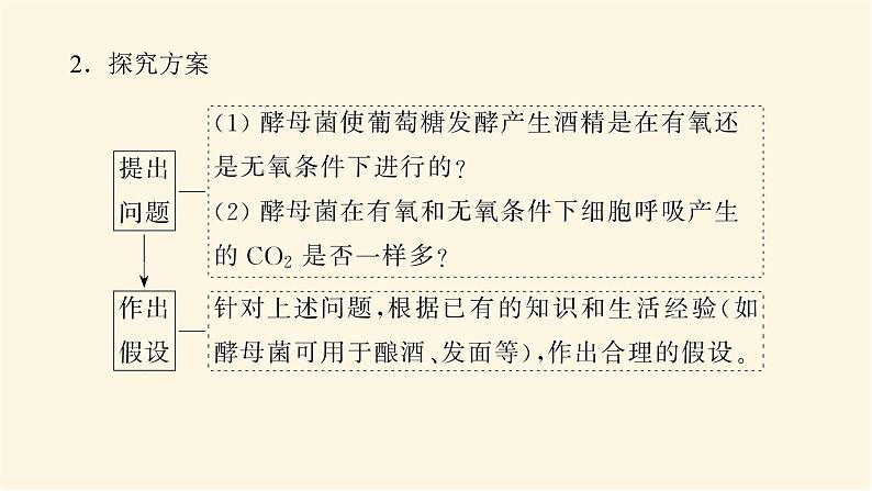 人教版高中生物学必修一第5章细胞的能量供应和利用导学案+课件04