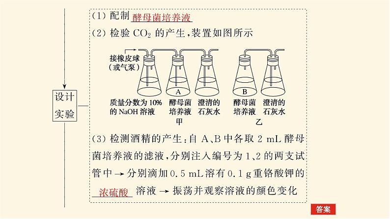 人教版高中生物学必修一第5章细胞的能量供应和利用导学案+课件05