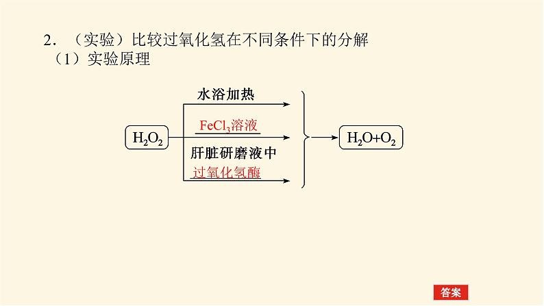 人教版高中生物学必修一第5章细胞的能量供应和利用导学案+课件04