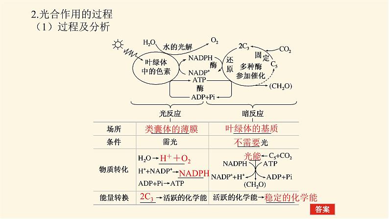 人教版高中生物学必修一第5章细胞的能量供应和利用导学案+课件06