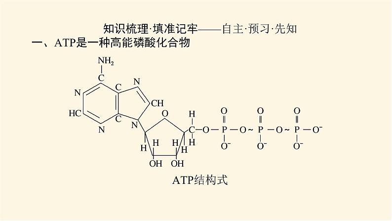 人教版高中生物学必修一第5章细胞的能量供应和利用导学案+课件03