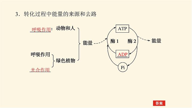 人教版高中生物学必修一第5章细胞的能量供应和利用导学案+课件07