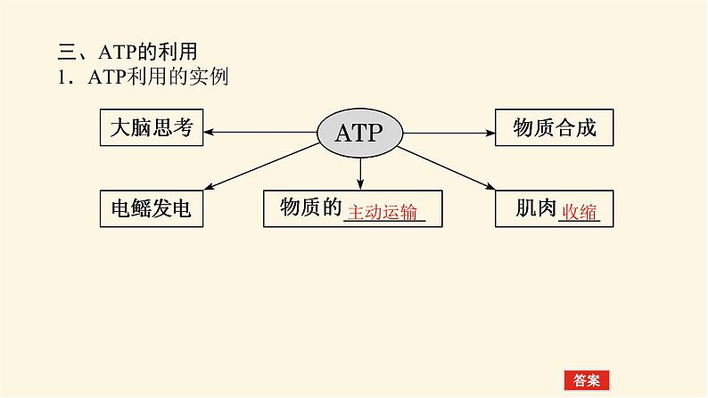 人教版高中生物学必修一第5章细胞的能量供应和利用导学案+课件08