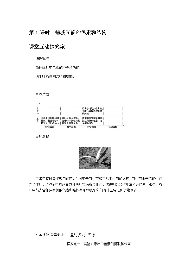 人教版高中生物学必修一第5章细胞的能量供应和利用导学案+课件01