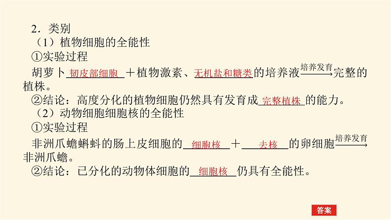 人教版高中生物学必修一第6章细胞的生命历程导学案+课件06