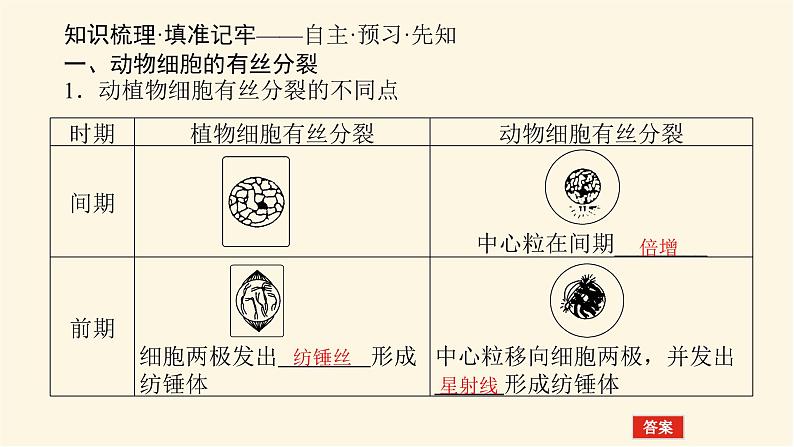 人教版高中生物学必修一第6章细胞的生命历程导学案+课件03