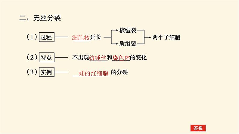 人教版高中生物学必修一第6章细胞的生命历程导学案+课件06