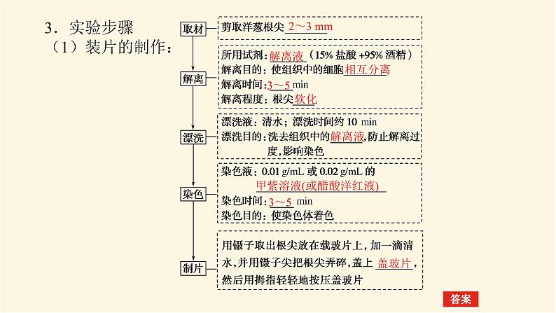 人教版高中生物学必修一第6章细胞的生命历程导学案+课件08