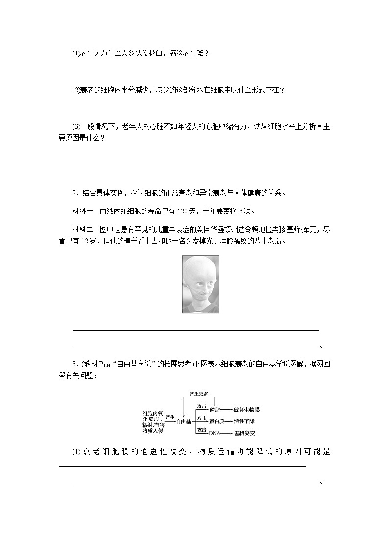人教版高中生物学必修一第6章细胞的生命历程导学案+课件02