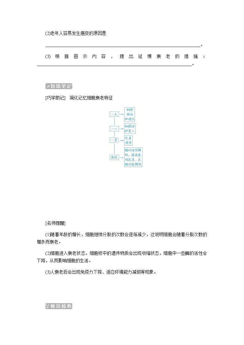 人教版高中生物学必修一第6章细胞的生命历程导学案+课件03