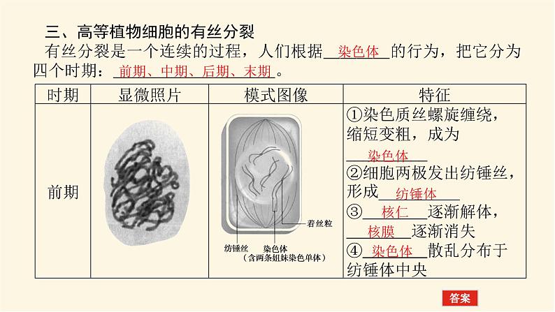 人教版高中生物学必修一第6章细胞的生命历程导学案+课件05
