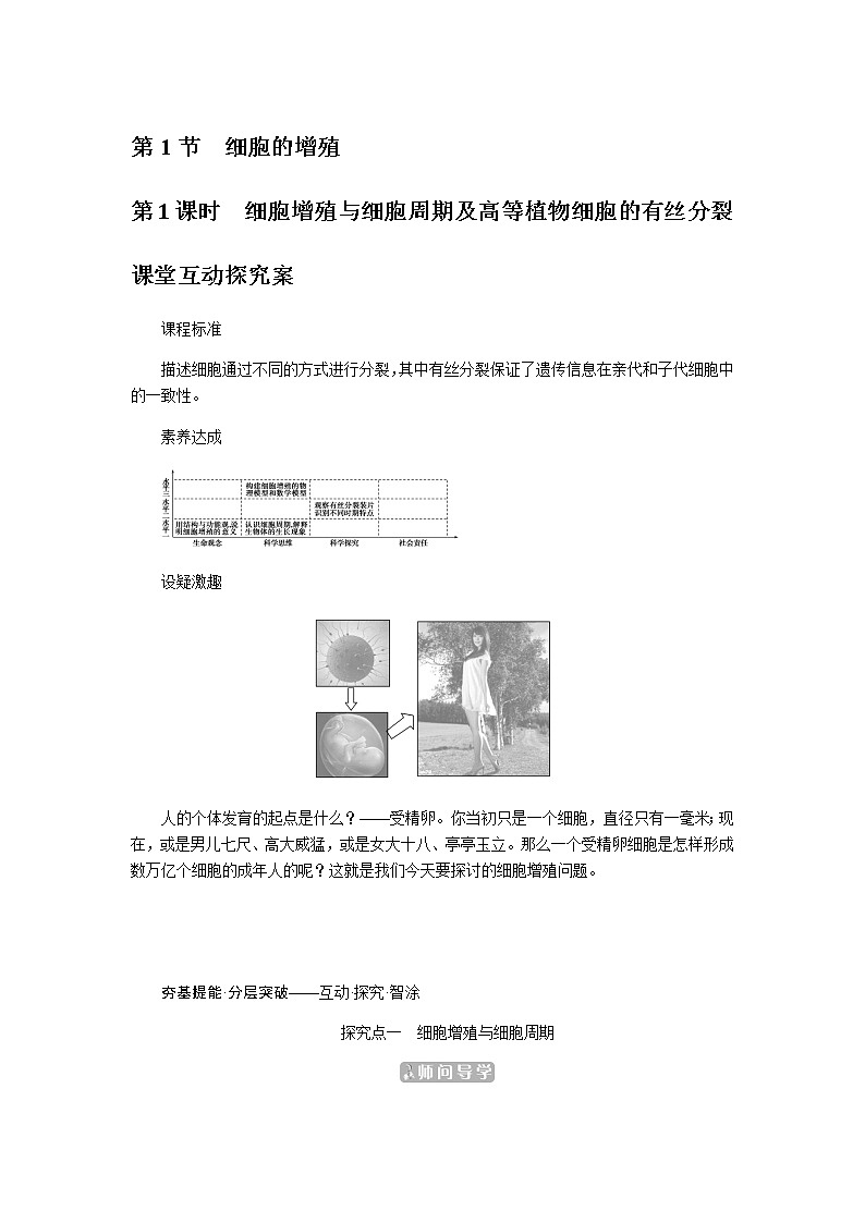 人教版高中生物学必修一第6章细胞的生命历程导学案+课件01