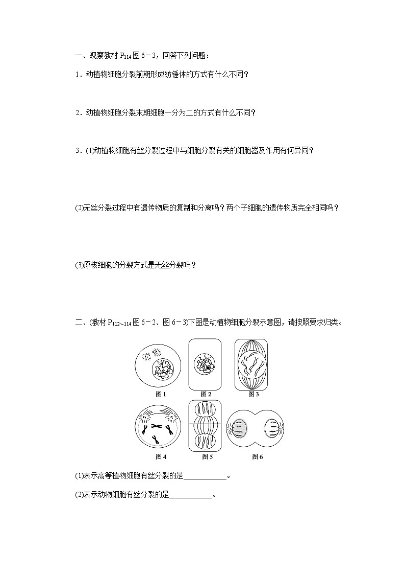 人教版高中生物学必修一第6章细胞的生命历程导学案+课件02