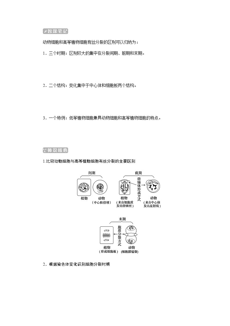 人教版高中生物学必修一第6章细胞的生命历程导学案+课件03