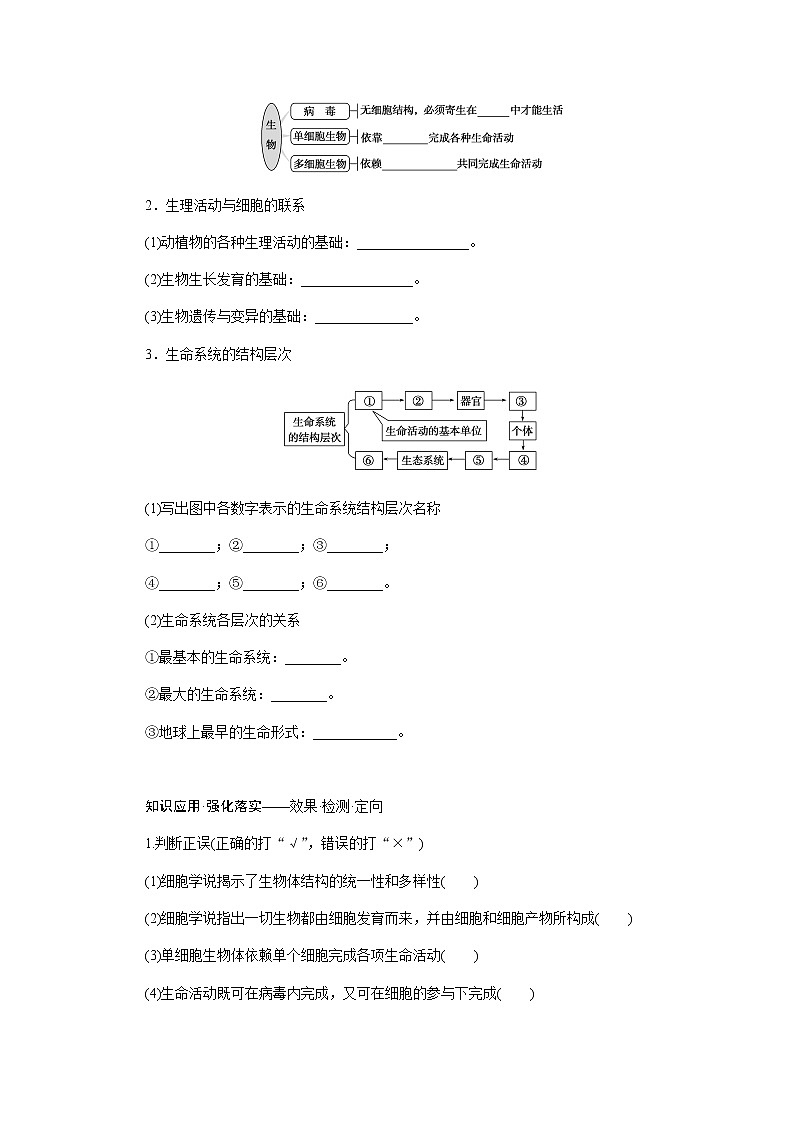 人教版高中生物学必修一专项培优导学案+课件02
