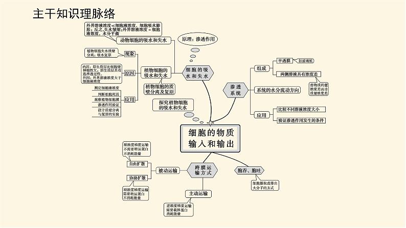 人教版高中生物学必修一专项培优导学案+课件02