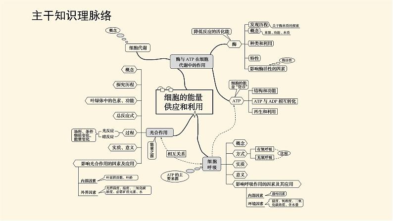 人教版高中生物学必修一专项培优导学案+课件02