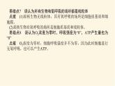 人教版高中生物學(xué)必修一專項(xiàng)培優(yōu)導(dǎo)學(xué)案+課件