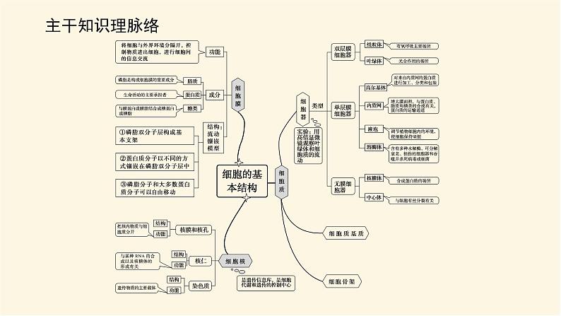 人教版高中生物学必修一专项培优导学案+课件02