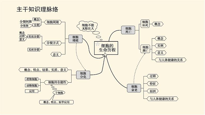 人教版高中生物学必修一专项培优导学案+课件02