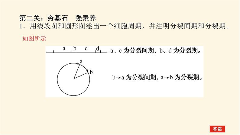 人教版高中生物学必修一专项培优导学案+课件07