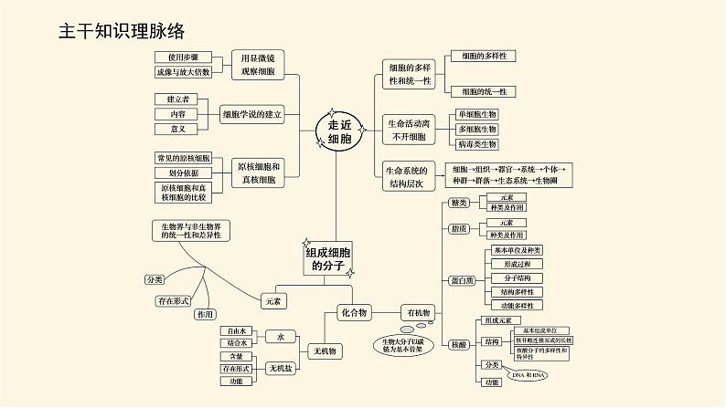 人教版高中生物学必修一专项培优导学案+课件02