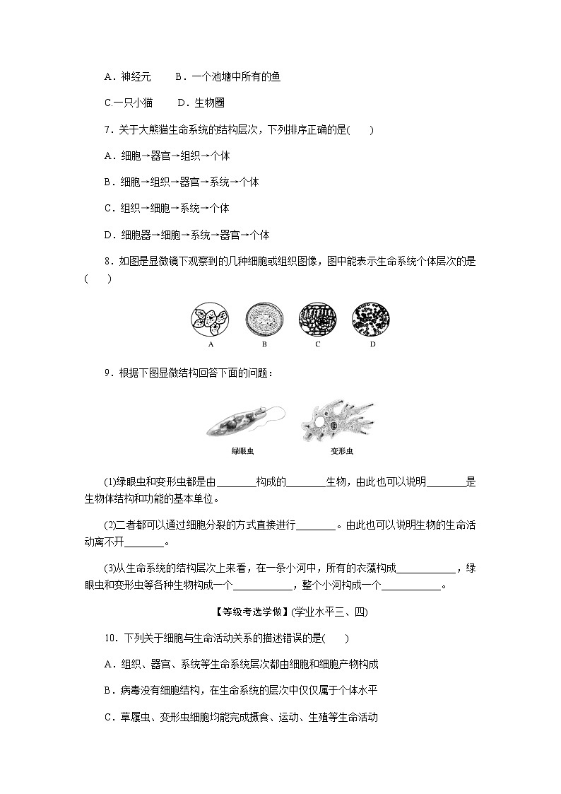 人教版高中生物学必修一全册课时作业含答案02