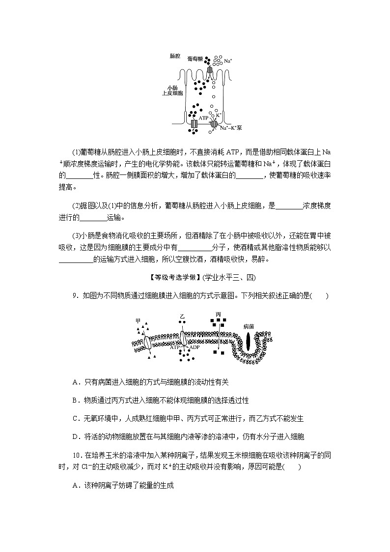 人教版高中生物学必修一全册课时作业含答案03