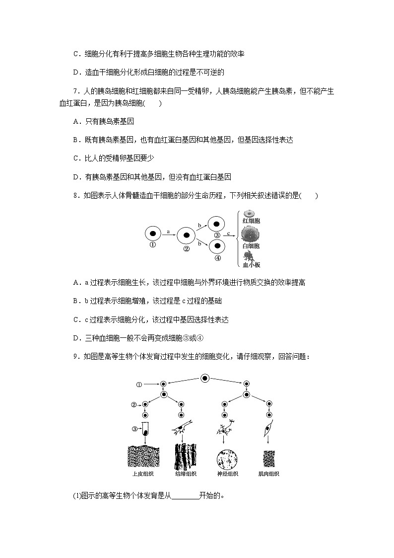 人教版高中生物学必修一全册课时作业含答案02