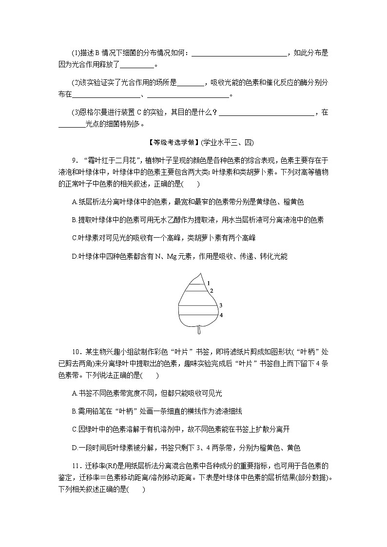 人教版高中生物学必修一全册课时作业含答案03