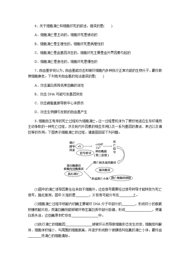 人教版高中生物学必修一全册课时作业含答案02