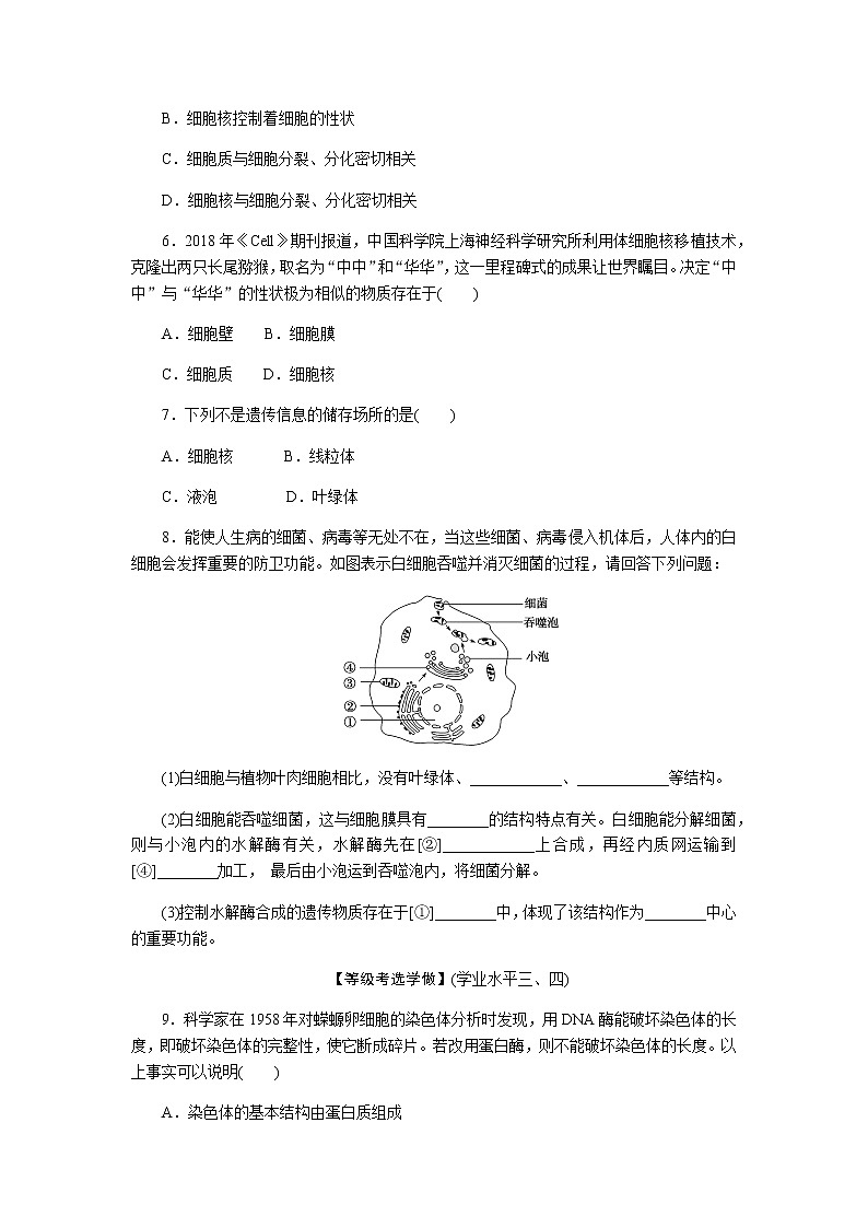 人教版高中生物学必修一全册课时作业含答案02