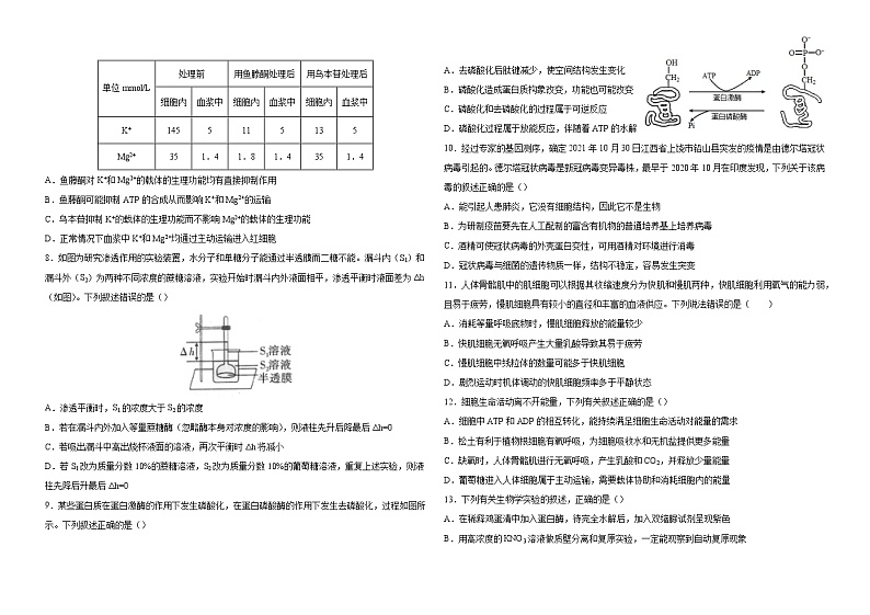 江西省金溪县第一中学2021-2022学年高一下学期开学考试生物试卷 （Word版含答案）第2页