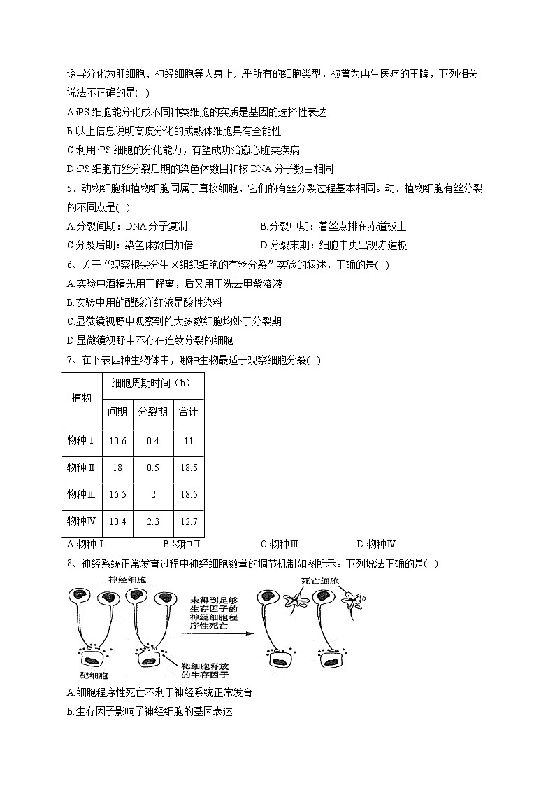 2022-2023学年人教版（2019）必修一第6章 细胞的生命历程  单元测试卷(word版含答案)第2页