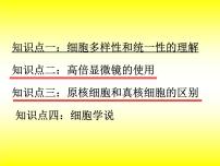 2023届高三一轮复习生物：细胞的多样性和统一性（19）课件