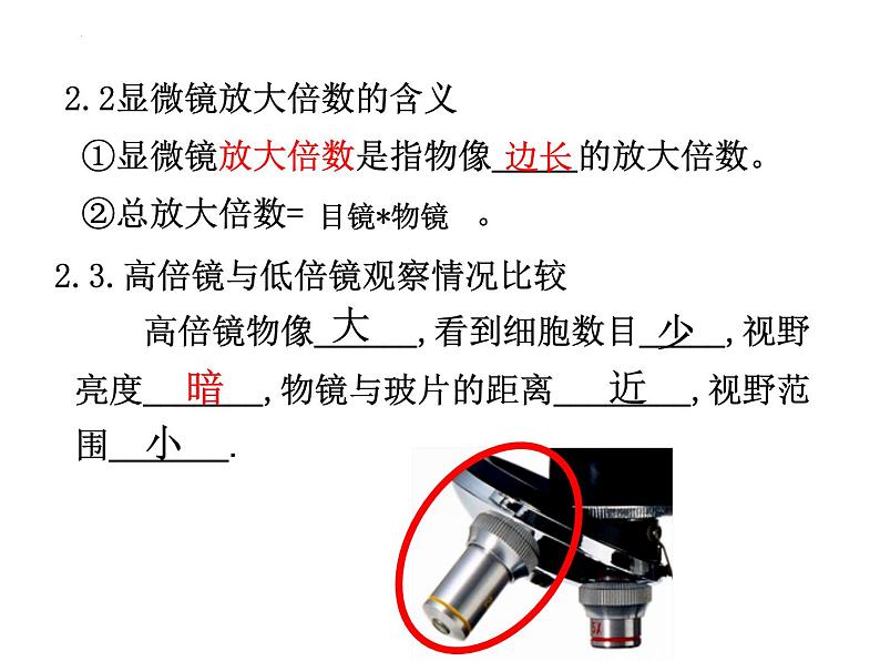 2023届高三一轮复习生物：细胞的多样性和统一性（19）课件第5页