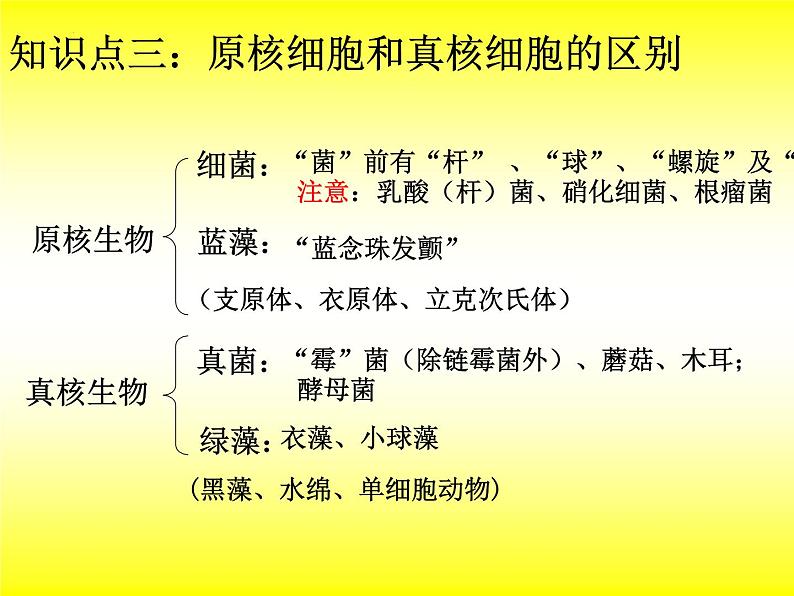 2023届高三一轮复习生物：细胞的多样性和统一性（19）课件第7页