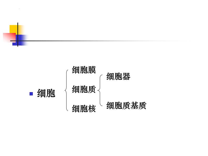 2023届高三一轮复习生物：人教版高中生物：细胞的多样性和统一性 (21)课件04