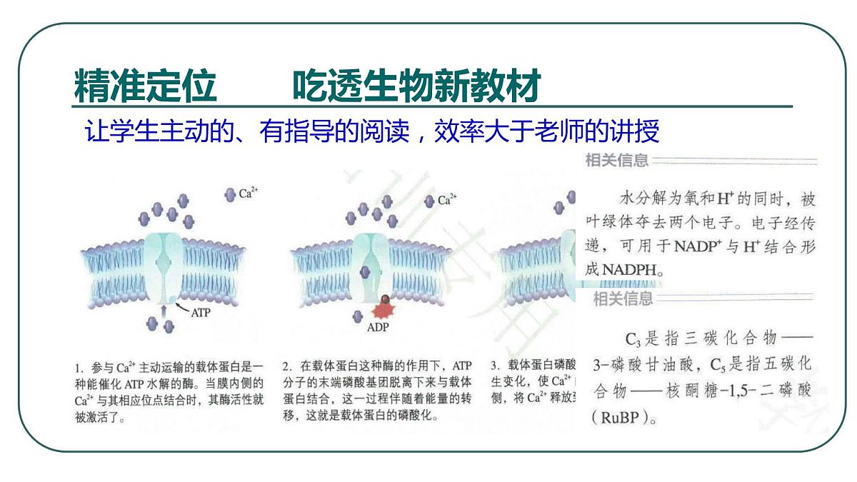 2023届高三生物一轮复习课件：精准定位  科学备考  细节落实第7页