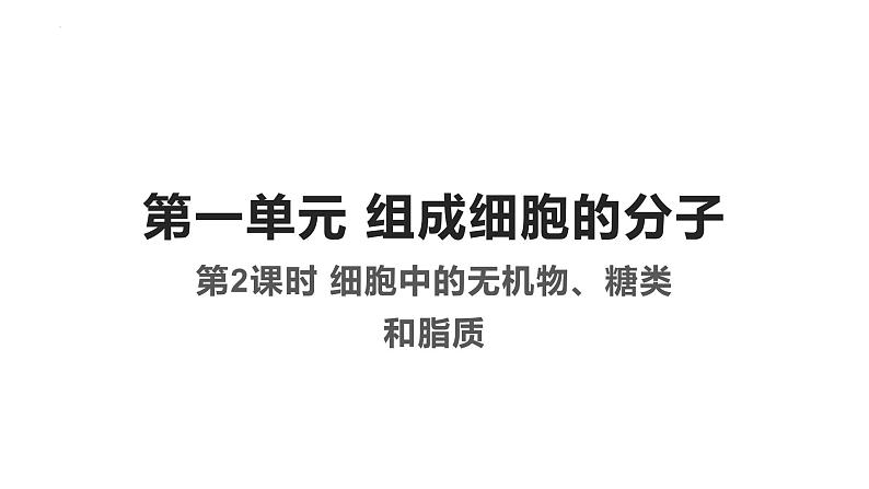 2023届高三一轮复习生物：第2课时 细胞中的无机物、糖类课件第1页