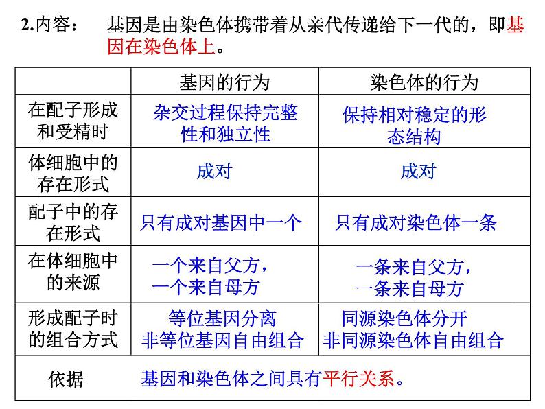 2023届高三一轮复习生物：必修二第二章第2、3节  基因在染色体上和伴性遗传课件第4页