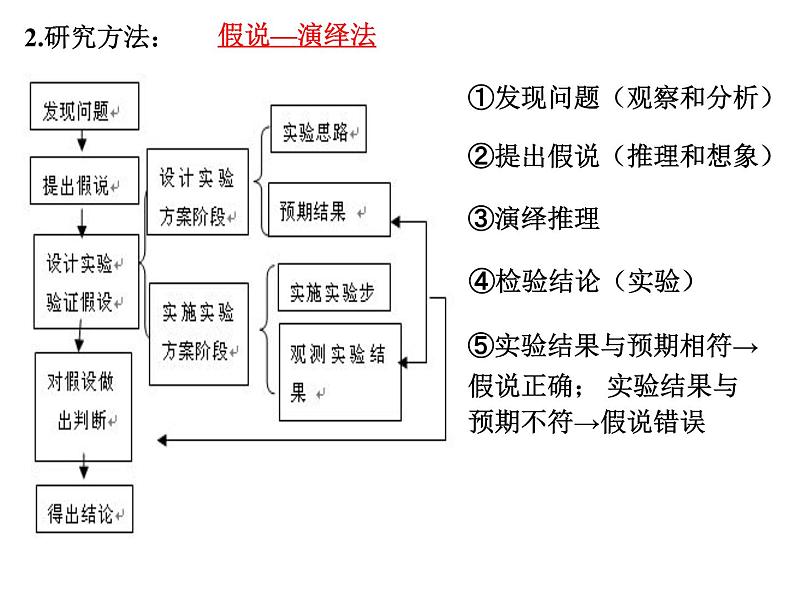 2023届高三一轮复习生物：必修二第二章第2、3节  基因在染色体上和伴性遗传课件第8页