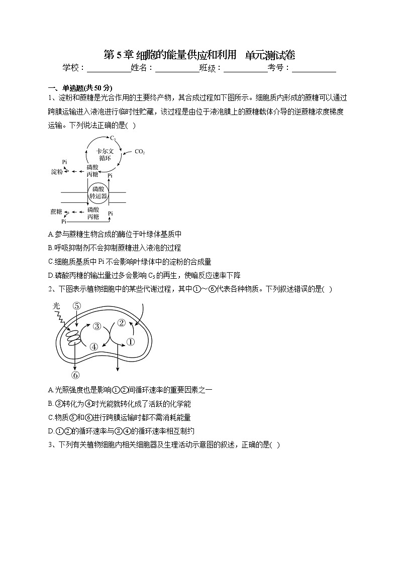 2022-2023学年人教版（2019）必修一第5章 细胞的能量供应和利用   单元测试卷(word版含答案)第1页